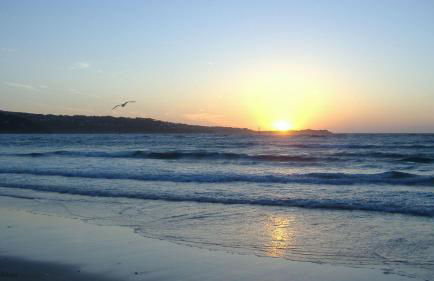 19 Strawberry Hill, Tolroy Manor - Foto 16