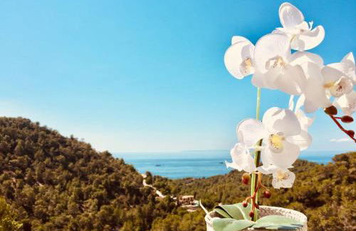 Villa Orquidea - Amazing landscape view - Foto 19