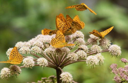 Casa Le Rondini - Photo 77