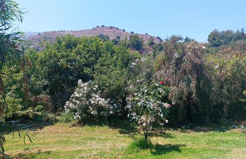 Villa Evridiki - Foto 37