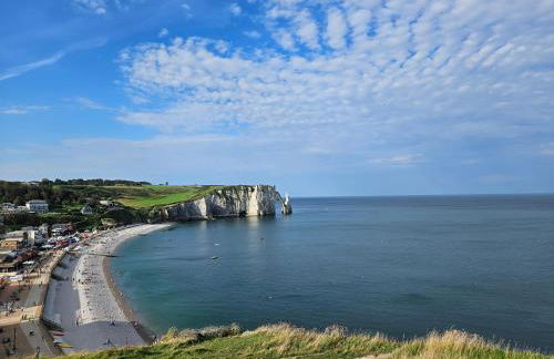 Coqslitscaux - Foto 73