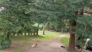 Cabana Monte do Castro - Foto 2, Garden view