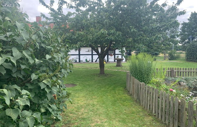 Ferienhaus in Wittendtsrp OT Pogress - Foto 26