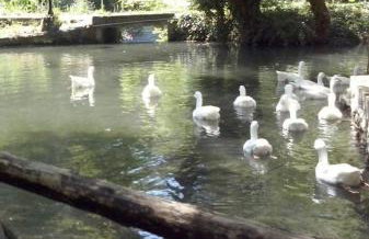 The Cozy Garden Villa - Foto 26