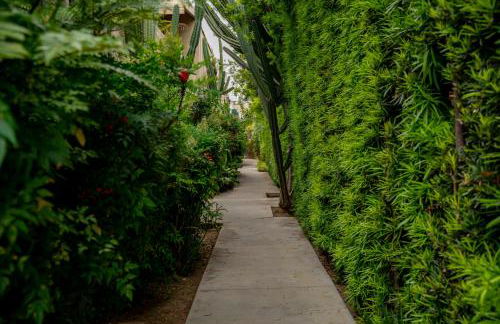 Luca's Tree Flat - Los Angeles California - Foto 12