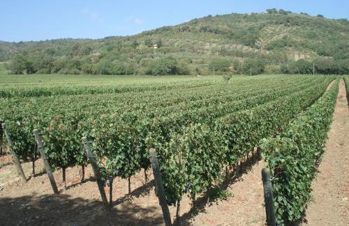 Agriturismo La Fontanella & Glamping - Foto 71