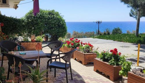 Serene Vintage - Foto 2, Garden, Garden view
