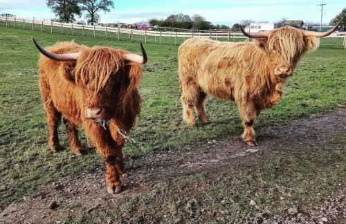 Cosy Cloud - Photo 22