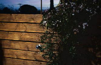 Magnolia Homes Zakynthos - Foto 61