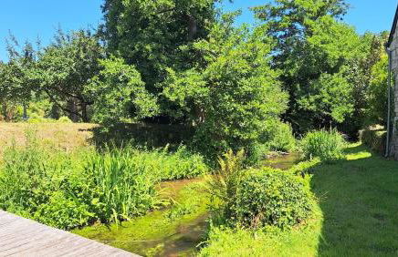 Le Moulin de Touvois 15p Bourgueil piscine - Foto 23