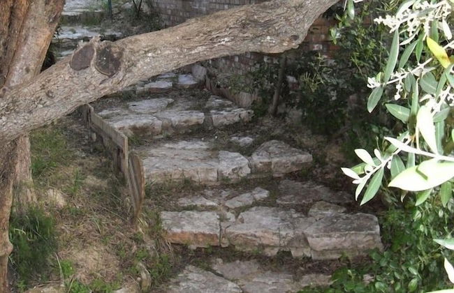 Il Quadrifoglio - Foto 55