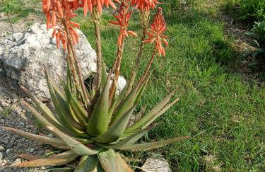 Apartment Marijan - Rtina - Foto 60