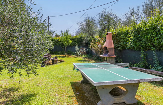 Casale L'Uliveta - Foto 62