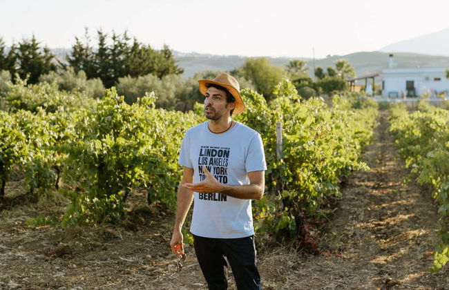 Visite d'un vignoble + Dégustation de produits typiques - Photo 5