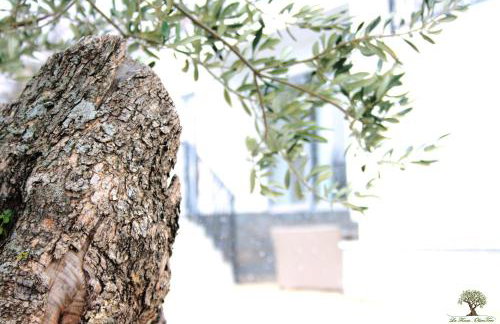 La Finca OliveTree - Foto 43