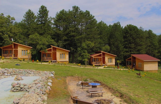 Koru Aura Mengen - Photo 20