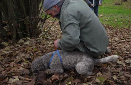 Cascina Arcangelo Raffaele - Foto 70