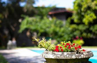 Casa da Reina - Photo 40