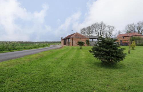 Little Owl - Foto 32