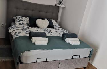 Studio apartman Daruvar - Foto 9