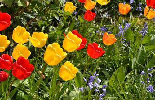 Belvedere Holiday Home - Foto 27