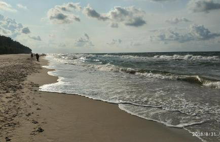 Blue Mare Rac - Foto 31