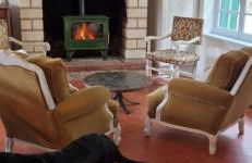 Domaine des Aulnaies - Beauval - Mareuil sur Cher - Foto 27