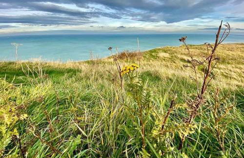 Plage à 50m Appartement Rêves étoilés Villa Les Bains de Mers - Foto 32