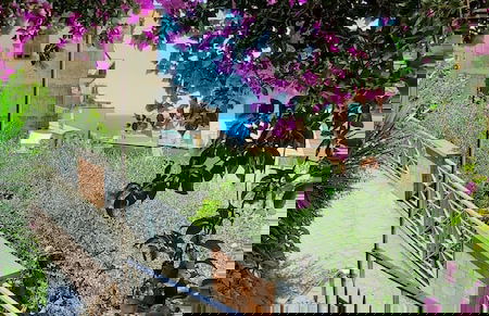 Appartamento Ambrosia - Foto 21