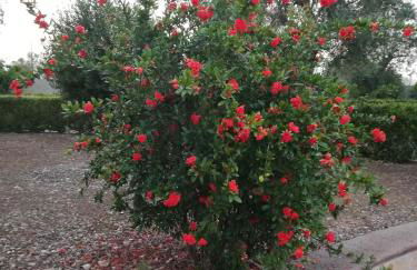 Villa Maria - Foto 9