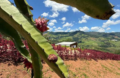 Chalé Jacarandá - Vale do Baú by HospedaHost - Foto 74