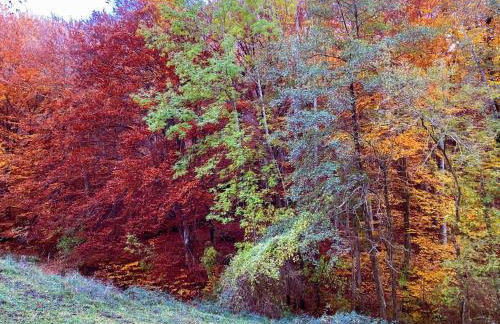 Bel appartement avec jardin - Foto 35