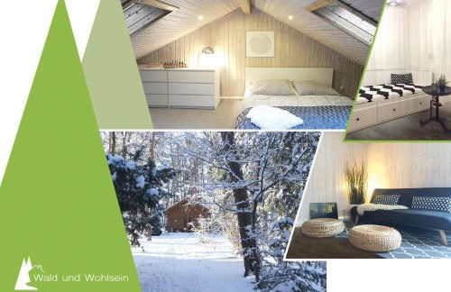 Wald und Wohlsein - Foto 50