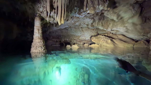 Tour por las cuevas de Bonaire con snorkel - Foto 2
