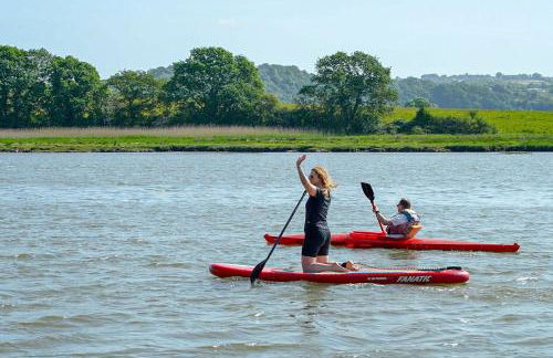 Tamar Castle - Photo 29