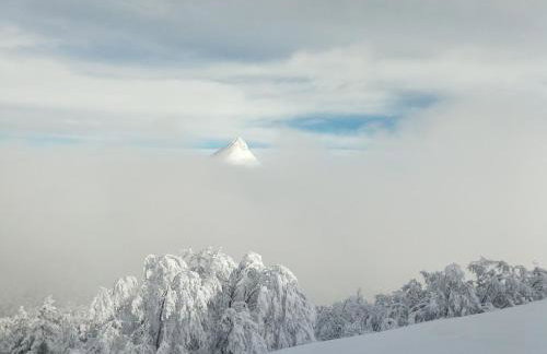 Nid cozy au Lioran - Foto 17