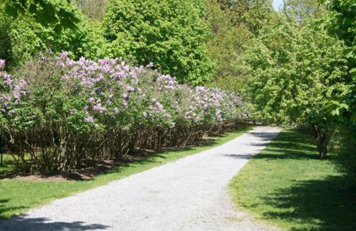 Shelter Island Hidden Estate - Foto 17