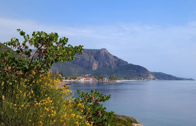 Byzantinon Hotel - Photo 32