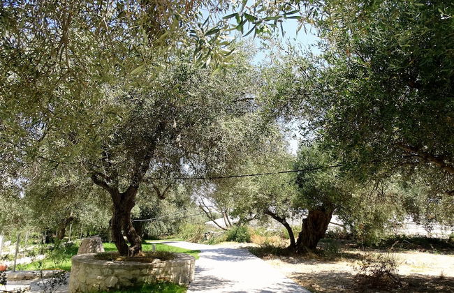 Lyrids Apartments - Photo 141