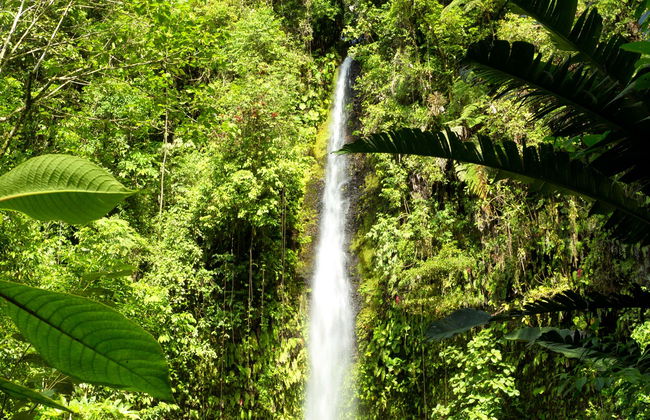 Excursion à la Réserve Hola Vida - Photo 1