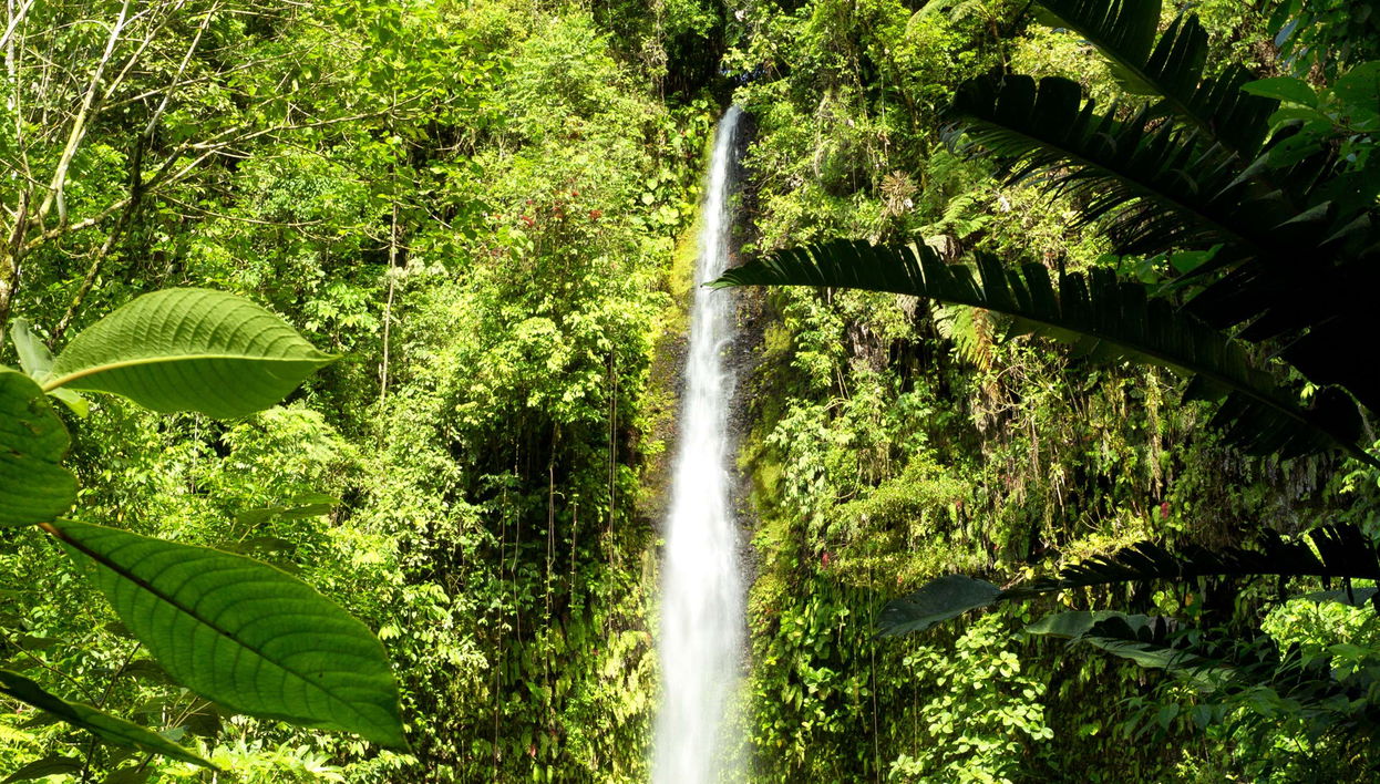 Excursion à la Réserve Hola Vida