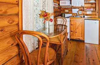 Ivy Cottage Cute Cottage Along The Ocoee River - Foto 9