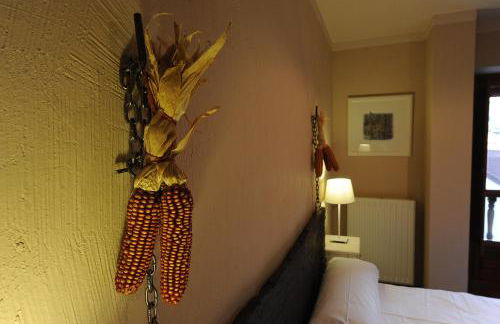 Posada Rural Bistruey - Foto 17