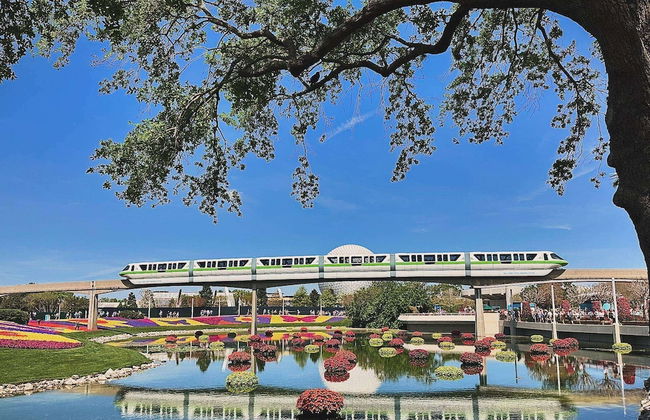 800 Bella Vida - Foto 76