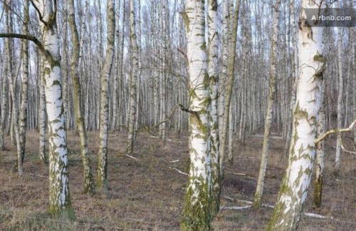 Landbahnhof Buschhof 2 OG mit Gartensauna - Foto 56