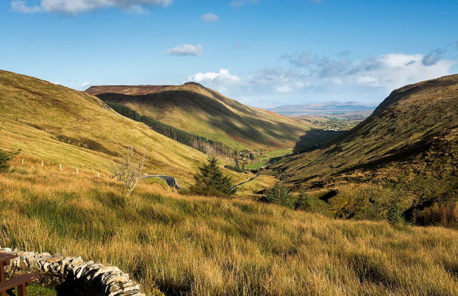 Little Irish Cottage - Foto 18