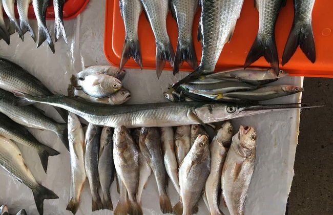 Visite du marché de Chorrillos + Cours de cuisine péruvienne - Photo 1