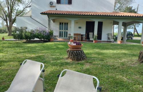 Agriturismo Uliveto Gretacci - Foto 11