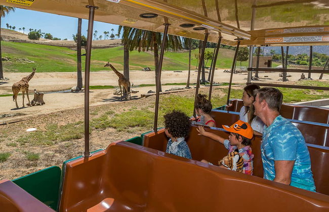 Billet pour le San Diego Zoo Safari Park - Photo 4