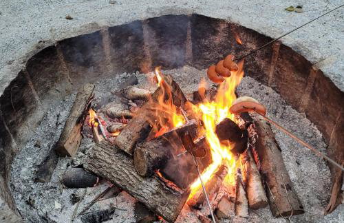 Leśna Kryjówka domki w lesie - Foto 51